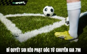 bi-quyet-soi-keo-phat-goc-tu-chuyen-gia-7m