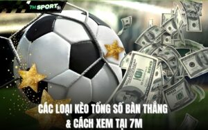 cac-loai-keo-tong-so-ban-thang-cach-xem-tai-7m